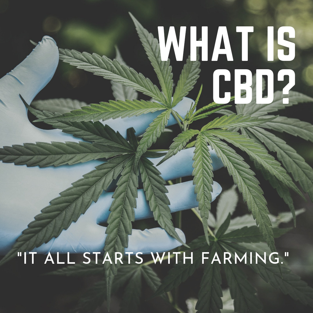 What are the Health Benefits of CBD oil?